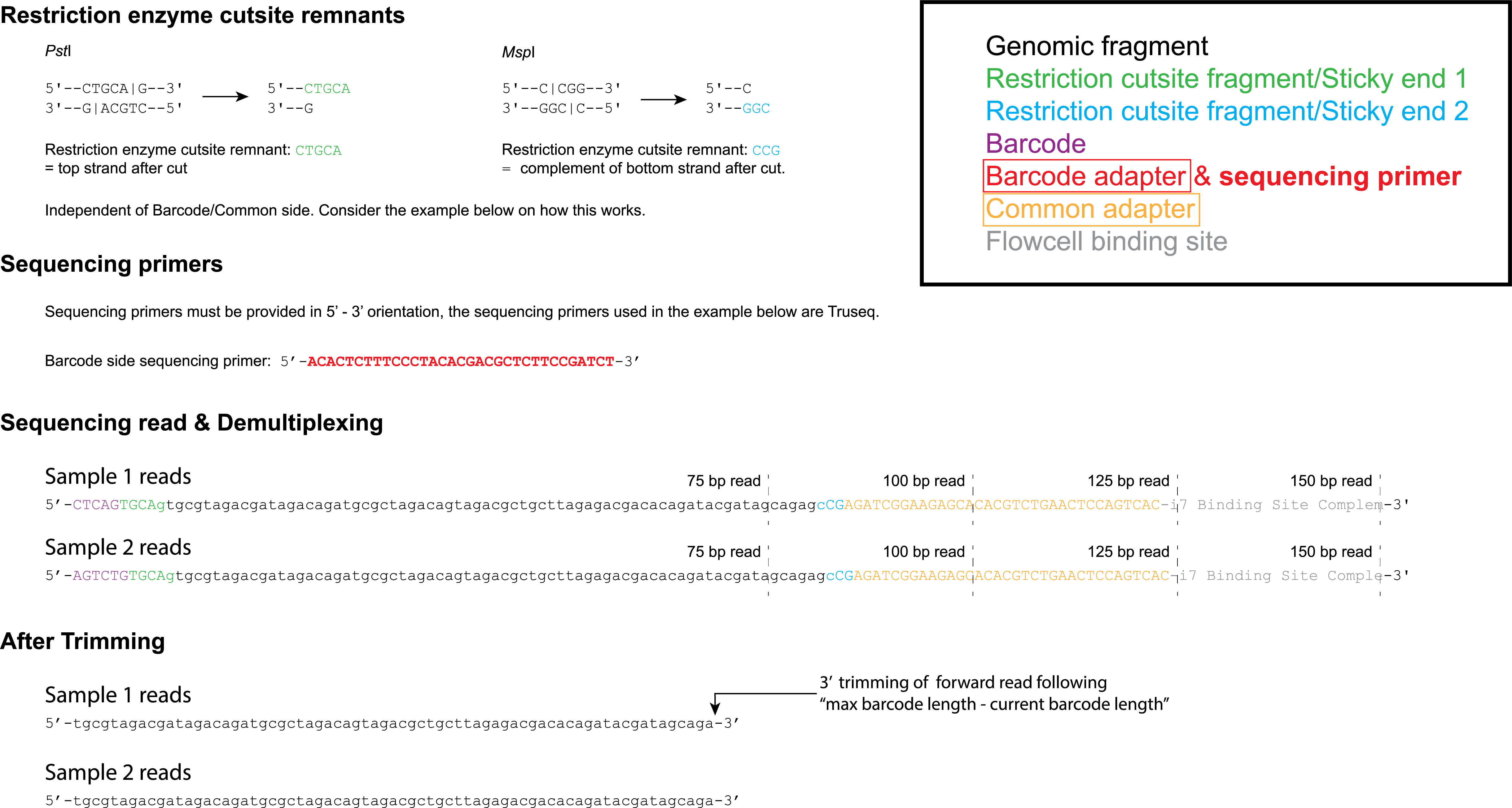 _images/ddse_scheme.png