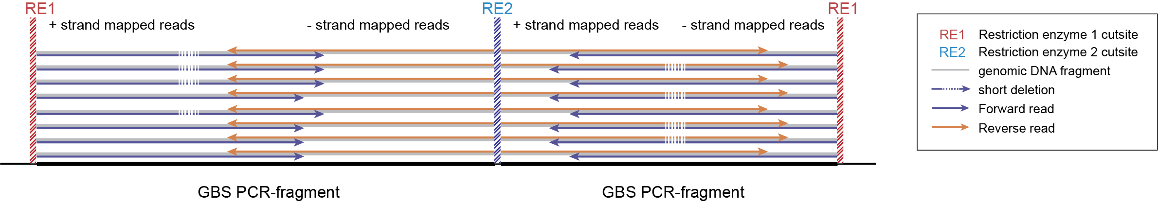 _images/separately_PE_DD-GBS_SMAP_legend_2.png