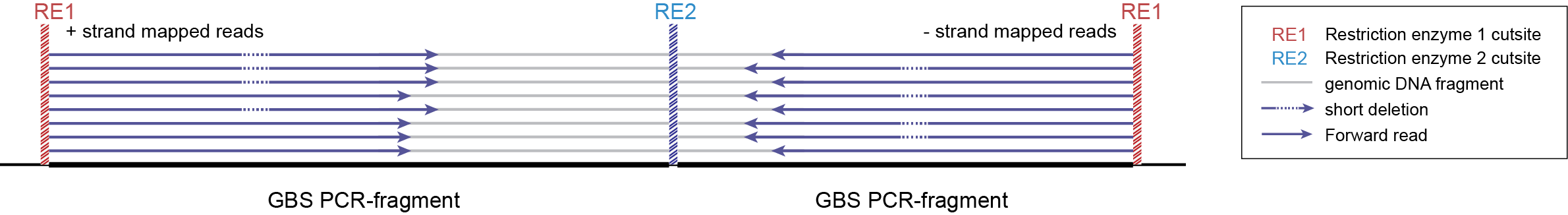 _images/separately_SE_DD-GBS_SMAP_legend_2.png