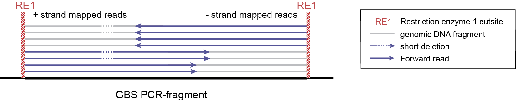 _images/separately_SE_SD-GBS_SMAP_legend_2.png
