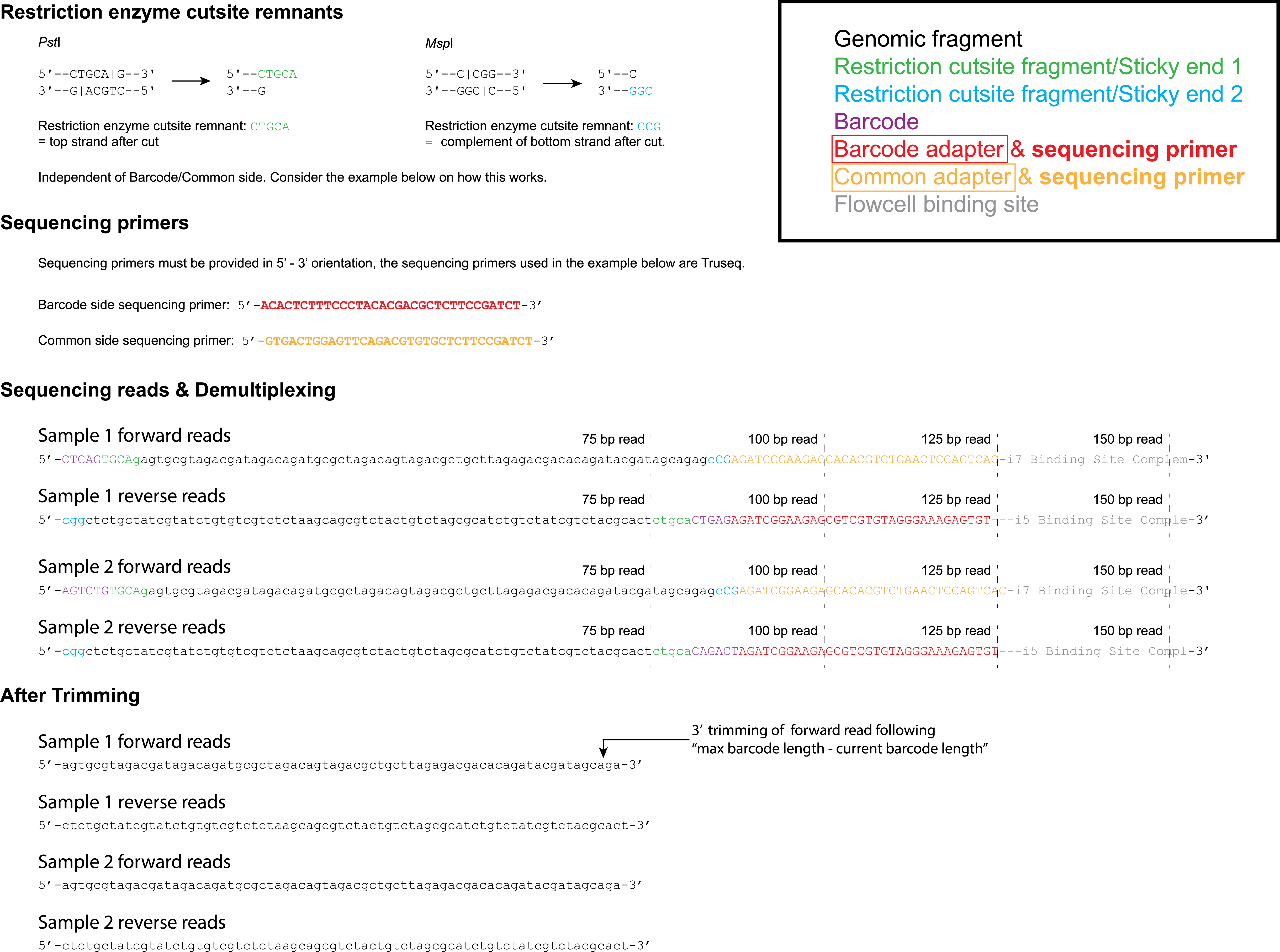 _images/ddpe_scheme_sep.png