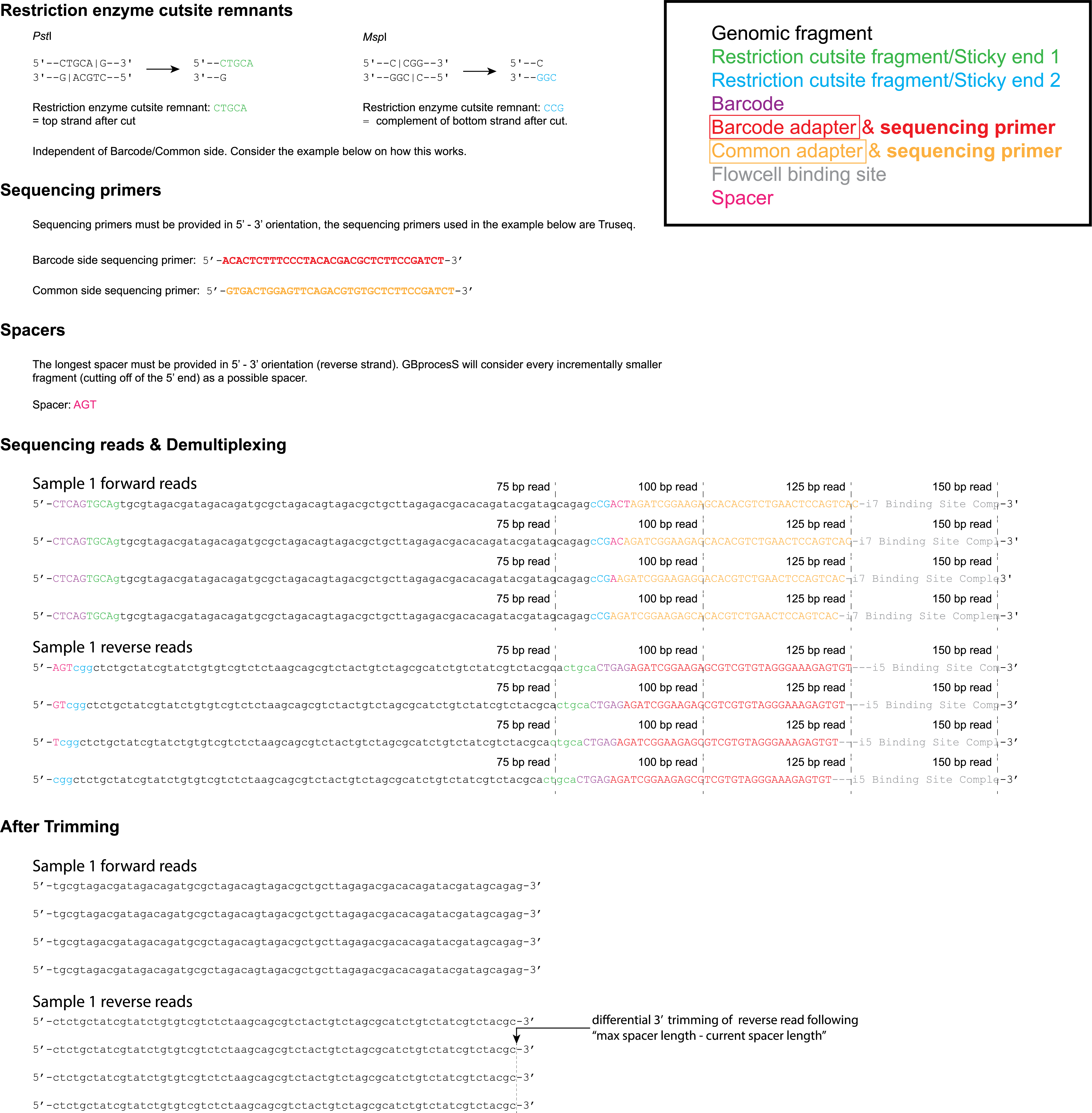_images/ddpe_scheme_spacer_sep.png