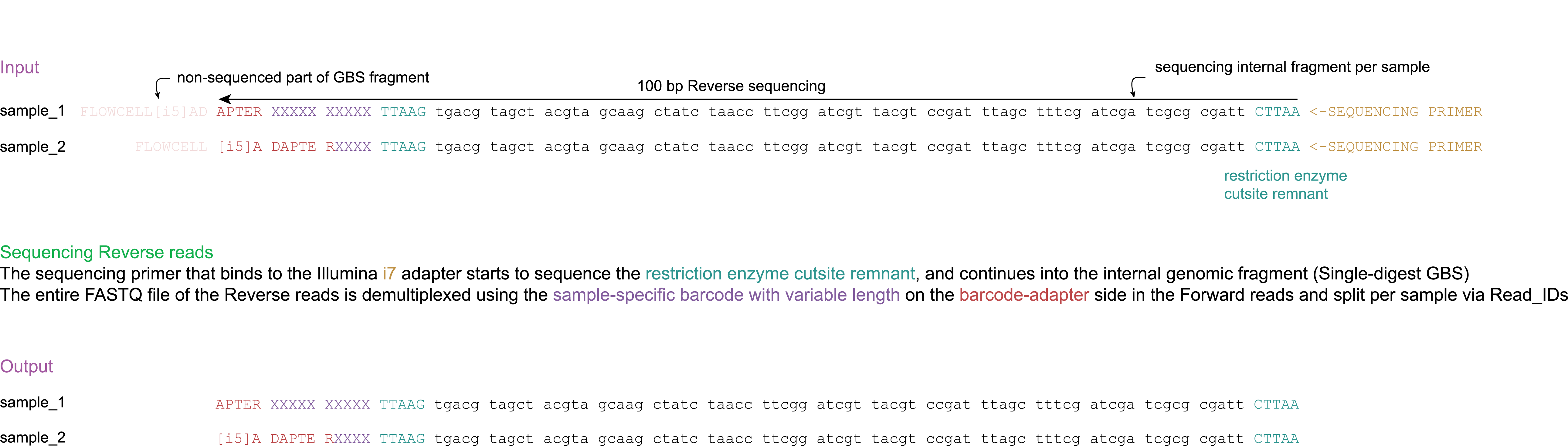 _images/E_sequencing_Reverse_100bp.png