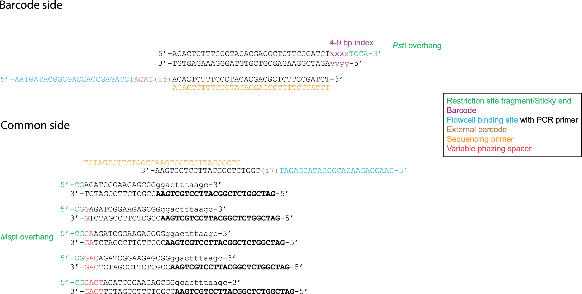 _images/adapters_variable_common.png