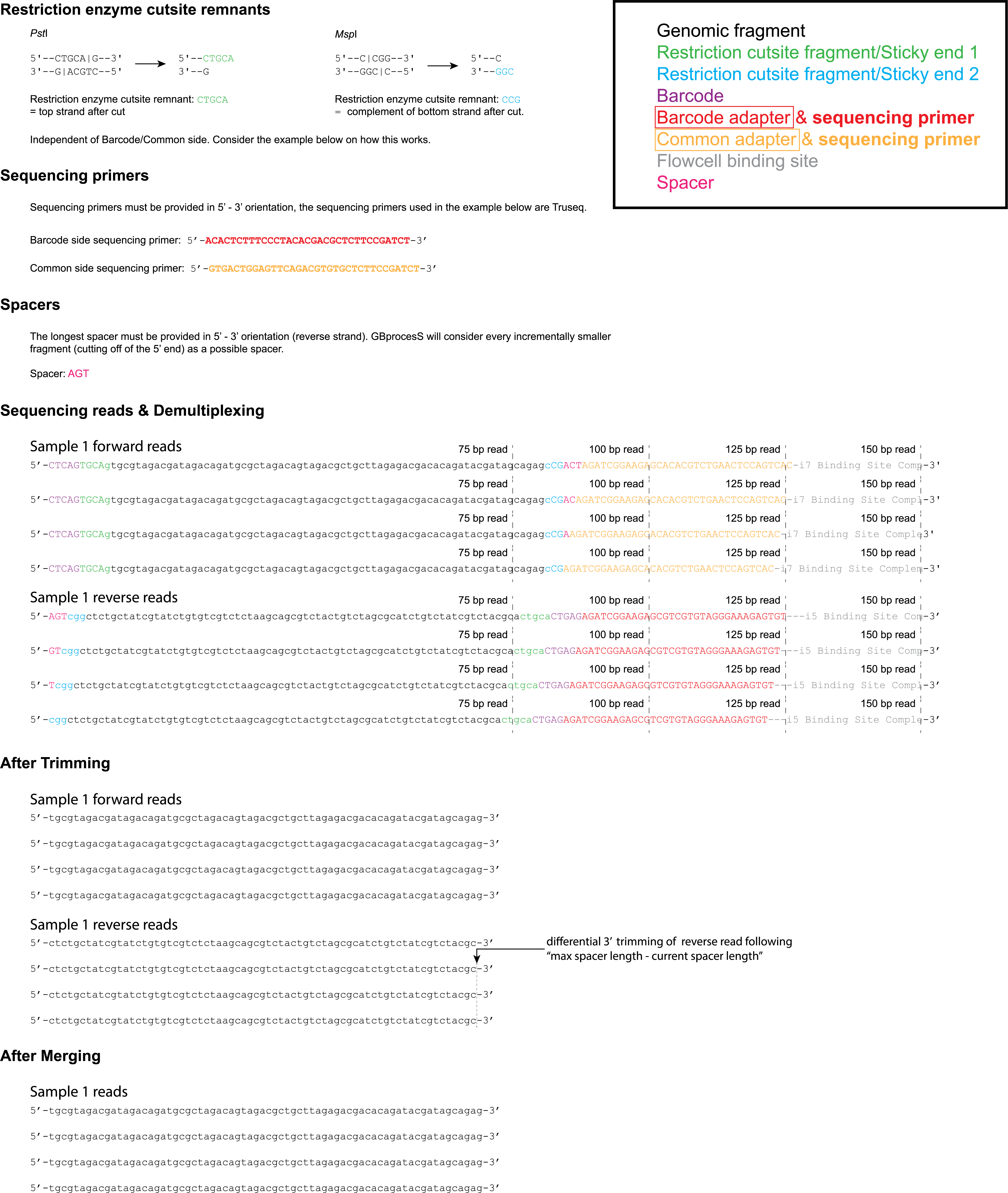 _images/ddpe_scheme_spacer.png