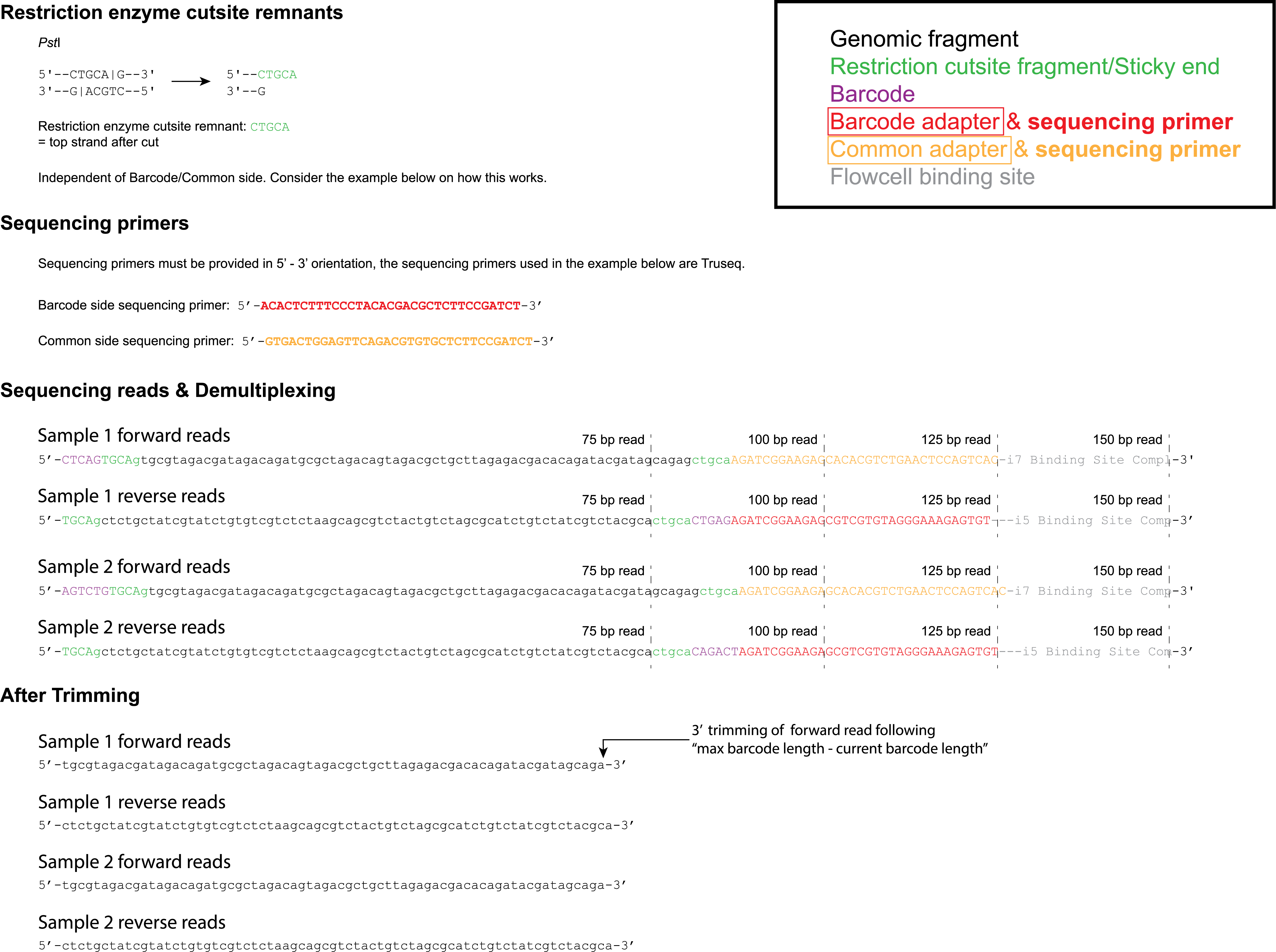 _images/sdpe_scheme_sep.png